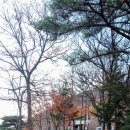 심항산 유아숲체험원 이미지