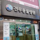 견우동물병원 - 광주시 태봉로 26 | 견우동물병원