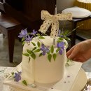 세라케이크 sera cake