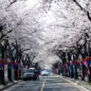 (주)제주왕 이미지