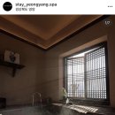 스테이영양둘째 이미지
