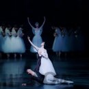 (주)메드월드 이미지