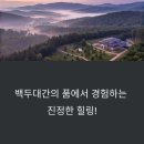 두산1리 | 영주 국립산림치유원: 세계 최대 산림치유의 허브! 완벽한 힐링 가이드