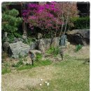 남향한의원 이미지