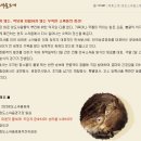 바우농산