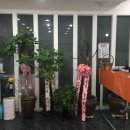 스카이보다미술학원 이미지