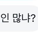 안원개 네이버블로그