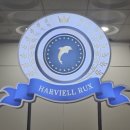 하비엘럭스 수영장 이미지