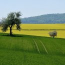 행정사사무소 설빛 이미지