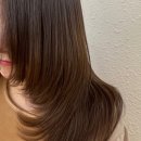 회원동247 이미지