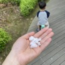 오케이앤굿