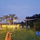 트리피아 더에코 키즈풀빌라 이미지