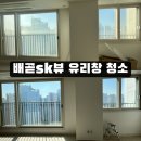 명품부동산중개 | 배곧 아파트 유리창 청소 비용 - sk뷰 부동산업자가 찾은 외창청소 전문업체