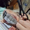 리프팜 | 호주 해밀턴아일랜드에서 4박5일 신혼여행기 (6) 팜방갈로 숙소(리프뷰호텔) 후기 1일차