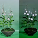 LED플라워 화분 제작 | 요즘 페이퍼플라워는 이렇게 만든다: 특수 염색 주름지 + LED 플라워