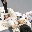 탑팀코리아 이미지