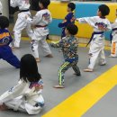 용인대통일태권도 이미지