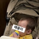 디자인플러스 | 줄즈 에어플러스2 실사용 후기 – 디자인·장점·단점·추천 이유까지!