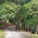 양을산산림욕장 이미지