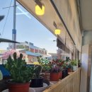 아리랑식객 이미지