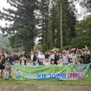 꿀벌농장 이미지