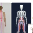 용인대정진태권도장 이미지