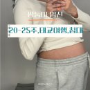 행복PLUS25 | 쌍둥이 임신 20-25주 일상 | 태교여행, 니스툴그로우 쌍둥이침대 구매, 주수 배 크기 비교