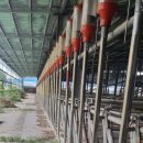 한우축사 이미지