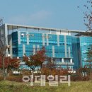 질병관리본부 이데일리