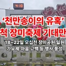 ‘천만송이의 유혹’ 삼척 장미축제 기대만발 이미지