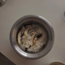 (주)황금바다 | 10월 제철 식재료 요리, 기장 여행 황금새우본점,몽벨쉘터 기장, 장안사, 동남 횟집,핀일로 냄비 후기,