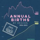 지역별 매년 태어나는 사람의 수 (1950~2023) 이미지