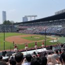 봄 호텔 이미지