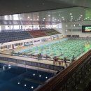 제주종합경기장 실내수영장 이미지