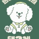 댕그레 이미지