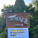내돈내산 고기리 장작구이 전문점 대왕골 솔직후기