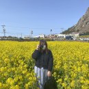 미미양품점 | 220304-06 제주도