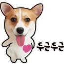 지주 헤어 살롱 이미지