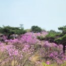 가현산약수터 이미지