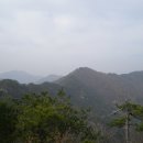 은티농장 Daum카페