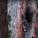 만월쉼터 이미지