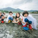 설리어촌체험마을 이미지