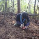 종삼농장 이미지