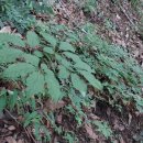 현동농장 이미지