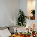 [국비지원] 조경기능사 필기 이미지