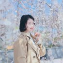 캐논 노만 픽쳐스타일 바나나+ 촬영 및 색감보정 후기