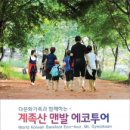 에코투어 이미지