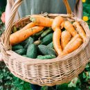 라탄 공예(야) 이미지