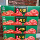 청송꿀사과