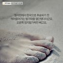 나! 박이야